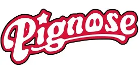 Гитары PIGNOSE