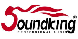 Поступление продукции Soundking