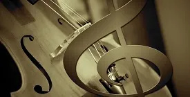 Скрипки, виолончели и другие струнные Stagg