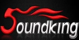 Поступление Soundking и Force