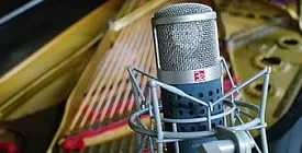 Летнее поступление SE Electronics