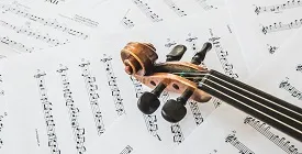 Поступление продукции Force и Guitto