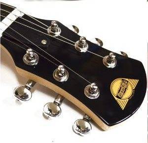 ЭЛЕКТРОГИТАРА PIGNOSE PGG-200 BS