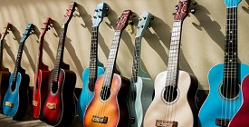 Большое поступление акустических и классических гитар ARIA