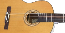 Классические и акустические гитары ARIA