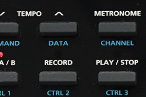 KURZWEIL KA70.jpg 513.jpg