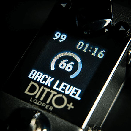 TC ELECTRONIC DITTO+ LOOPER.png 34.png