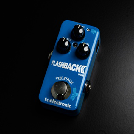 tc electronic flashback mini 2