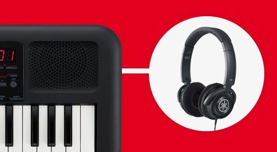features_04_high-quality_sound_545x300_b61be139f4ae5b2a8fc69aa329654c2f.jpg