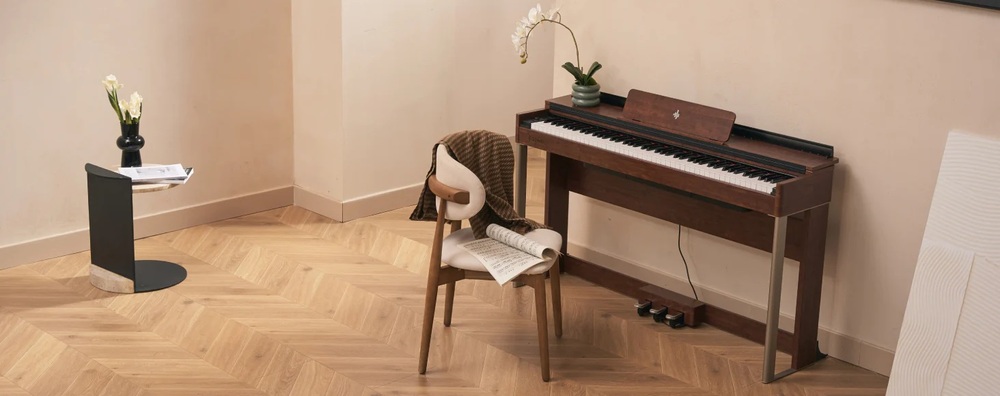 Donner DDP-200.jpg 744.jpg