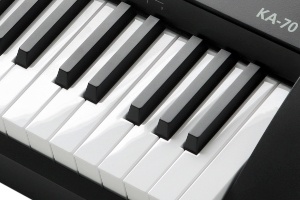 KURZWEIL KA70.jpg 508.jpg