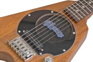 PIGNOSE PGG-200V STBR.jpg 1623.jpg