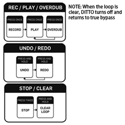 TC ELECTRONIC DITTO+ LOOPER.png 32.png