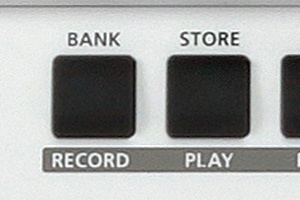 579.jpg