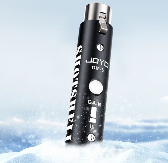 JOYO DM-5.jpg 1604.jpg