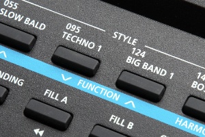 KURZWEIL KA120.jpg 522.jpg