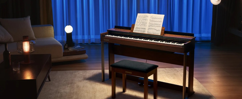 Donner DDP-200.jpg 747.jpg