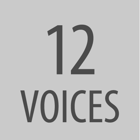 12 Voices.jpg 12 Voices.jpg