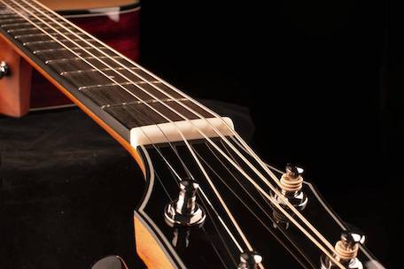 eng_pl_TransAcoustic-Guitar-KEPMA-F1E-D-N-1610_16.jpg