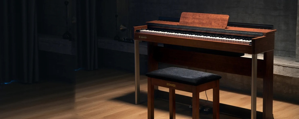 Donner DDP-200.jpg 746.jpg