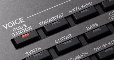 YAMAHA PSR-A5000.jpg 463.jpg