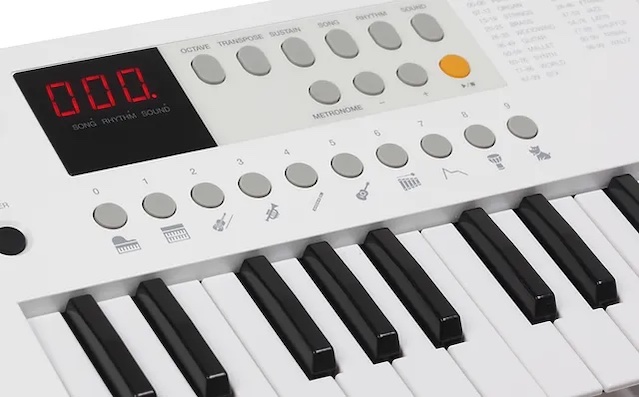 Копия b203f0_19d0d9e34f5149f5bc0cfa0677cad451~mv2.jpg