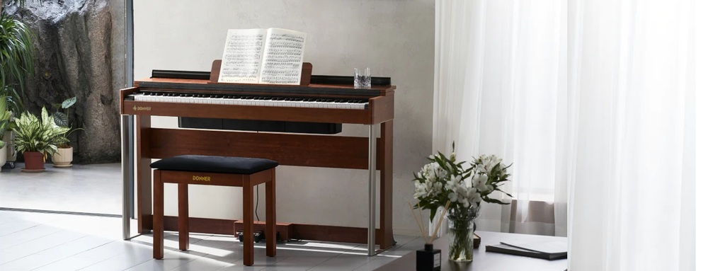 Donner DDP-200.jpg 743.jpg