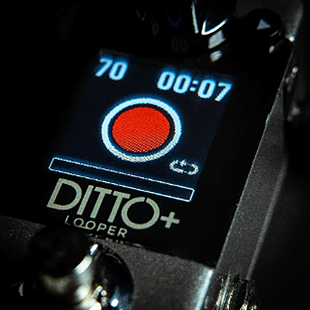 TC ELECTRONIC DITTO+ LOOPER.png 28.png