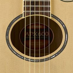 APX600-soundhole.jpg APX600-soundhole.jpg