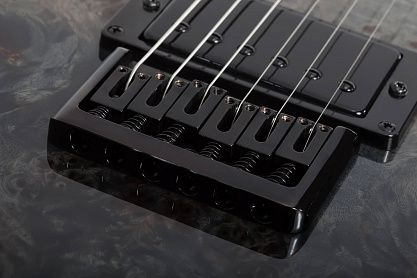 Электрогитара SCHECTER PT STANDARD BFBB