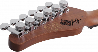 Электрогитара SCHECTER NICK JOHNSTON PT A.GREEN