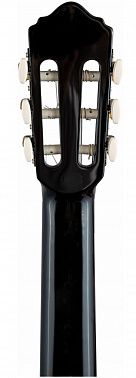 Гитарный набор FLIGHT C-120 BK PACK