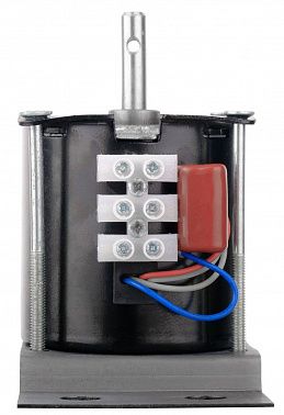 Мотор LAudio Motor-100