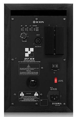 Студийный монитор ICON DT-6S
