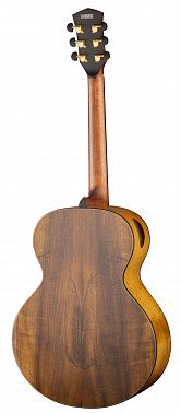 Электроакустика CORT Cut-Craft-Limited-WCASE-N