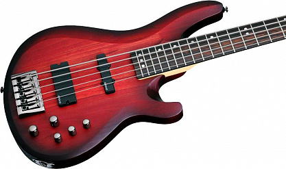 БАС-ГИТАРА SCHECTER C-5 CUSTOM TCS