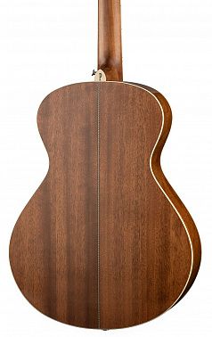 Электроакустика Parkwood P680-WCASE-NAT