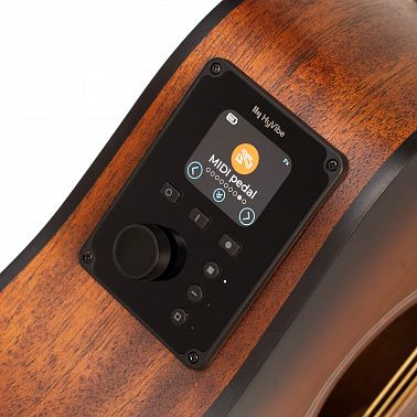 Электроакустика Cort Earth-GO-OPBB-wbag