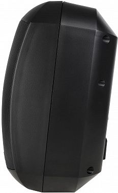 Настенная акустическая система INTREND ITSPK-MSK6-B