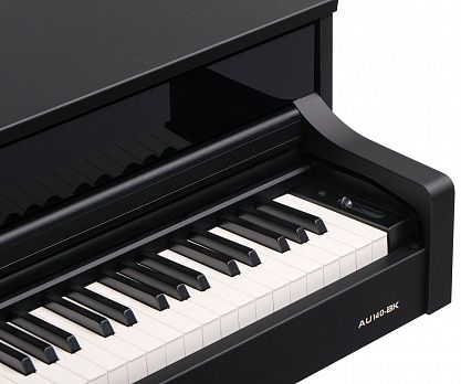 Цифровое пианино Aurora AU140-BK