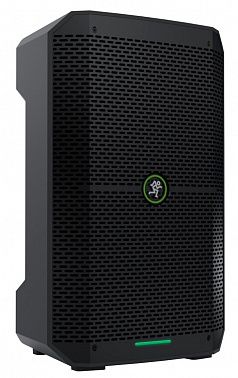 Портативная акустическая система Mackie Thump GO