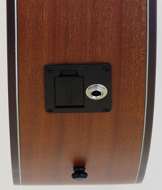 Электроакустика ARIA-101CE MTN