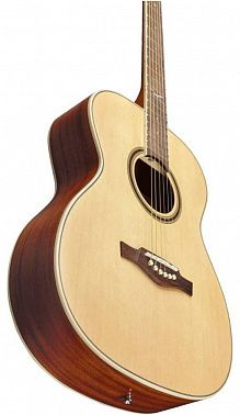 Акустическая гитара EKO NXT A100