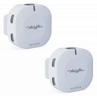 Радиосистема Октава ZHUK-2-B Жук-2-Б