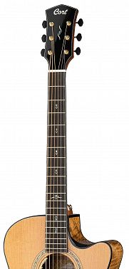 Электроакустика Cort Gold-Edge-WCASE-NAT