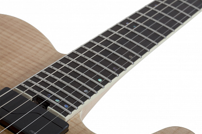 Электрогитара SCHECTER PT SLS ELITE ATQFB