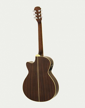 ЭЛЕКТРОАКУСТИЧЕСКАЯ ГИТАРА ARIA FET-01STD BS