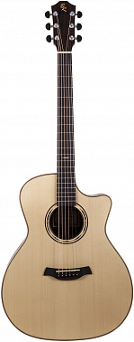 Электроакустика BATON ROUGE AR101S/GACE