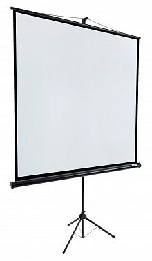 Экран Lumien Eco View LEV-100108