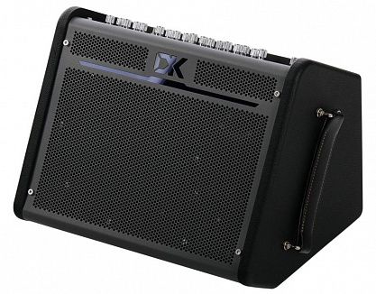 Комбоусилитель DK iC-100